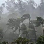 Example image